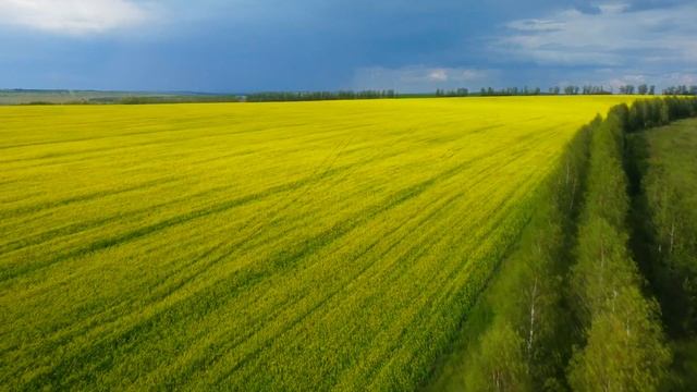 Башкирия 4k.река Ай. река Юрюзань. смотреть онлайн