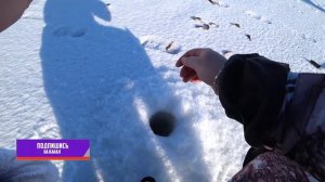 МЕНЯ ОББУРИЛИ \ НАШЕЛ ОКУНЯ \ ЛОВЛЯ ОКУНЯ СО ЛЬДА