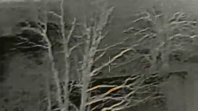 Тепловизор iray saim19w. Дистанция примерно 200 м смотреть онлайн