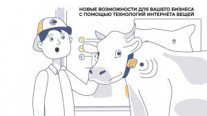 Рисованная инфографика видео на заказ для компании Талмер