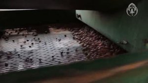 Шишкодробилка   ролик