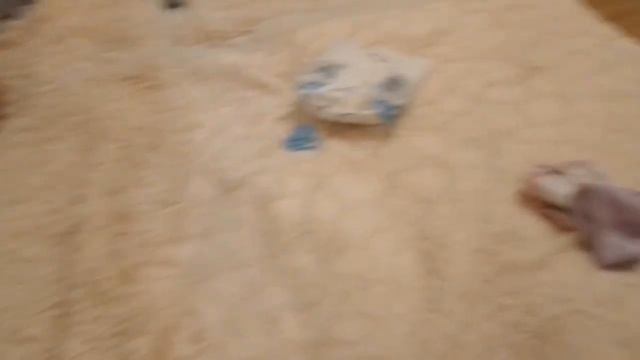 Вечер после школы с ребятами! Zlata vlog и ребята! ✨ смотреть онлайн