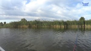 Щука на спининг. Таловской пруд. В-Хава.