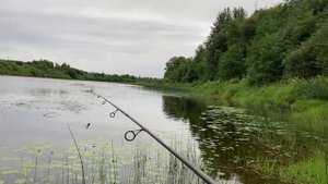 ЗАЧЁТНЫЙ ОКУНЬ НА ПОППЕР УВИДЕЛ ЩУКУ И ПОЙМАЛ