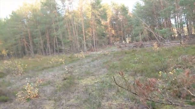 Sony Xperia 5 IV Kamera Test - Hardware gewinnt? смотреть онлайн