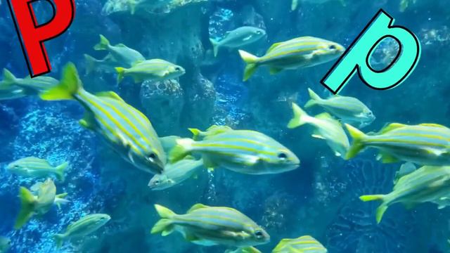 АЛФАВИТ. АЗБУКА. Учим БУКВЫ от А до Я. Развивающее видео для детей. Алфавит для самых маленьких. смотреть онлайн