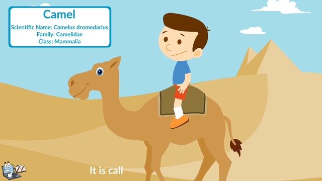 Pet Farm and Wild Animals || Animal Video for Kids смотреть онлайн