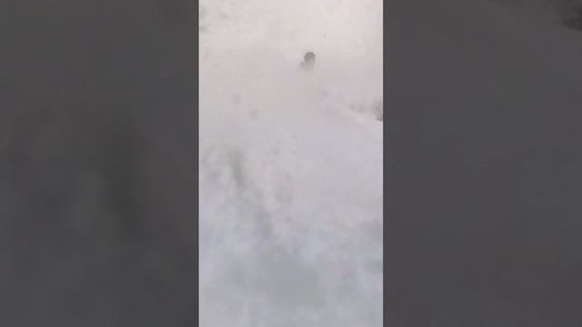 GOBRO TRAVEL - Фрирайд туры в Приисковый смотреть онлайн