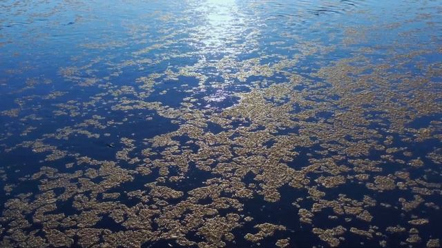 Осенний ледоход смотреть онлайн