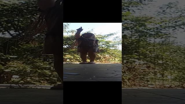VID_20240804_141728.mp4