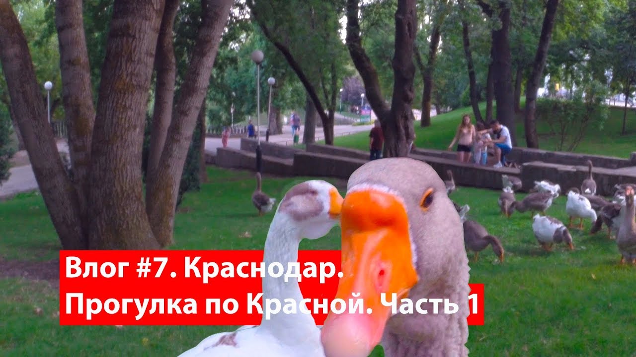 Влог #7. Прогулка по Краснодару. Улица Красная. Часть 1.