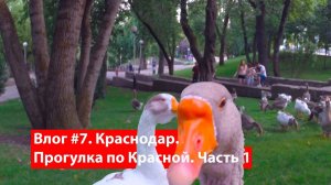 Влог #7. Прогулка по Краснодару. Улица Красная. Часть 1.