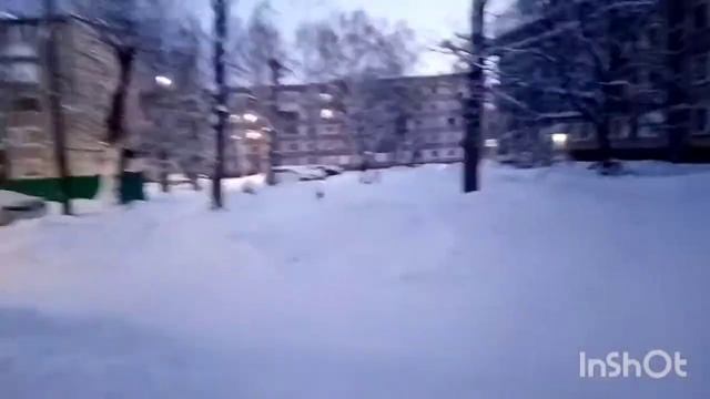 Влог #13. Печём манник/секрет варежек жаккардом / ночные посиделки #успеть_начать_до_нового_года202 смотреть онлайн