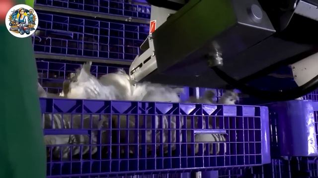 The Most Modern Agriculture Machines That Are At Another Level, Harvesting Pineapples in farm ▶41 смотреть онлайн