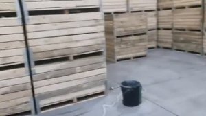 Секретов больше нет:   обработка яблок во фруктохранилищах