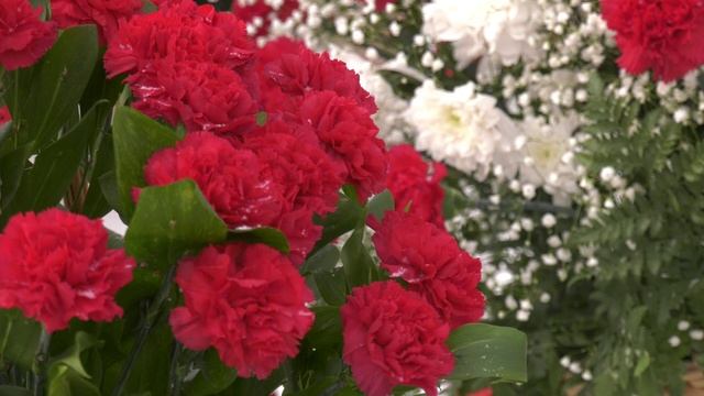 В Самаре почтили память воинов-интернационалистов смотреть онлайн