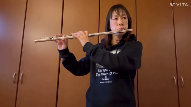 30年ぶりフルート再開【76日目】速めの半音階、運指が怪しい смотреть онлайн