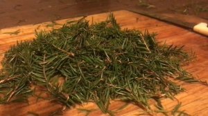 Самый простой настой из еловых иголок для профилактики здоровья