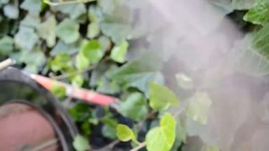 Замена болтов крепления (шпилек) переднего колеса на Таврии-Славуте