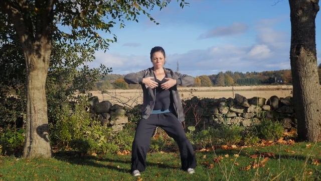 Closing a Qigong routine смотреть онлайн