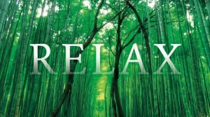 Kitaro - Wood Fairy (Remastered)