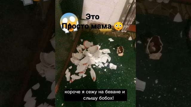 история про посуду котонория разбилась😂