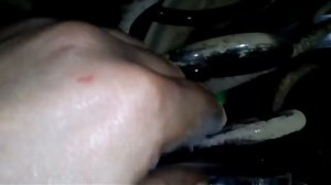 Рено Меган 2 замена задних пружин на передние вазовские