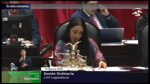 🔴Sesión Ordinaria de la Cámara de Diputados 14/02/2024