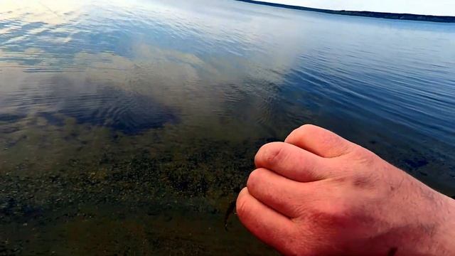 ЛОВЛЯ ОКУНЯ НА МАТЫРСКОМ ВОДОХРАНИЛИЩЕ В ЛИПЕЦКЕ