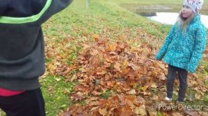 Компост из листьев в мешках ( что я делаю с опавшими листьями )