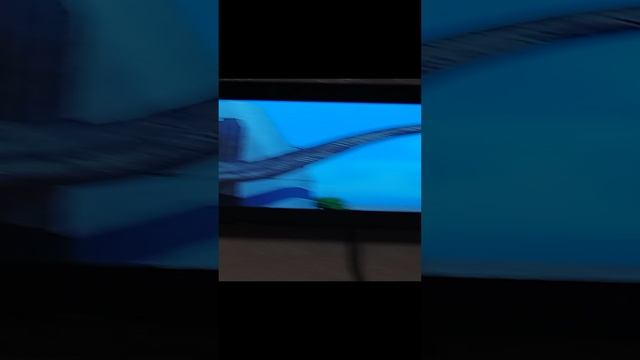 видео про динозавров