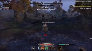 ESO: Stamina DK PVP #6