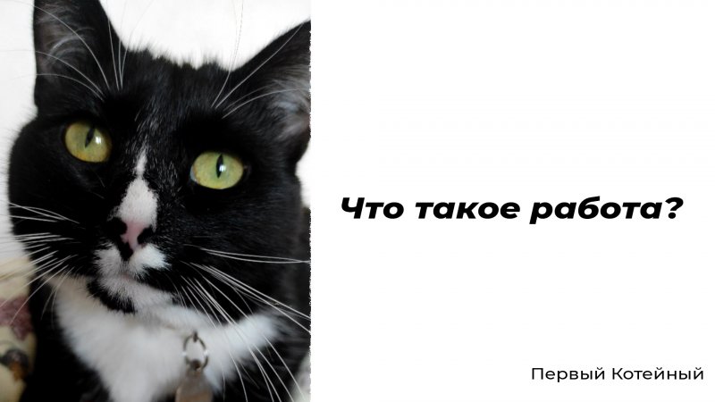 Что такое работа? ??