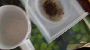 МЫЛОВАРЕНИЕ: ТРЁХСЛОЙНОЕ МЫЛО-СКРАБ