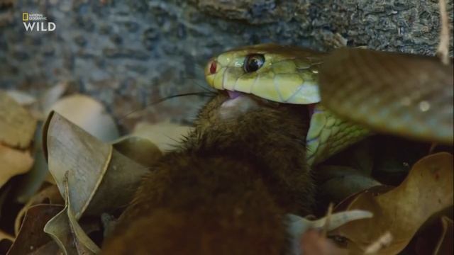 5 мест на Земле, куда вас не пустят ни за какие деньги смотреть онлайн