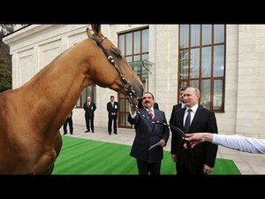 Владимир Путин подарил королю Бахрейна коня