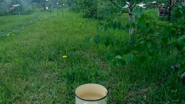 Веник в баню смотреть онлайн