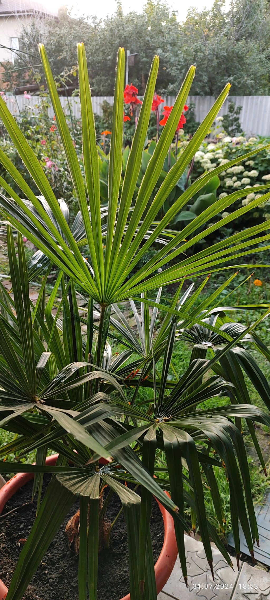 Скоро в отпуск! 🌴🌴🌴Абхазия ждет! ☺