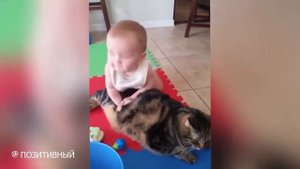 Забавные дети и животные, смотреть всем😍🐱😜 #кошки#собаки#забавные#дети#2020#смехдослëз#подборка