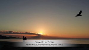 Project For Gaia - A guided shamanic journey to find your power animal. A deep spiritual experience