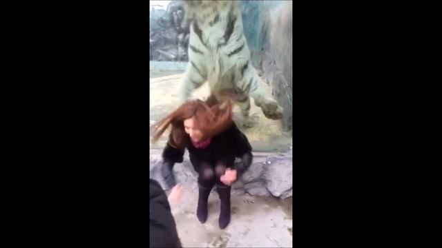 Приколы №2