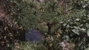 ТОРНАДО КИНО БОЕВИК