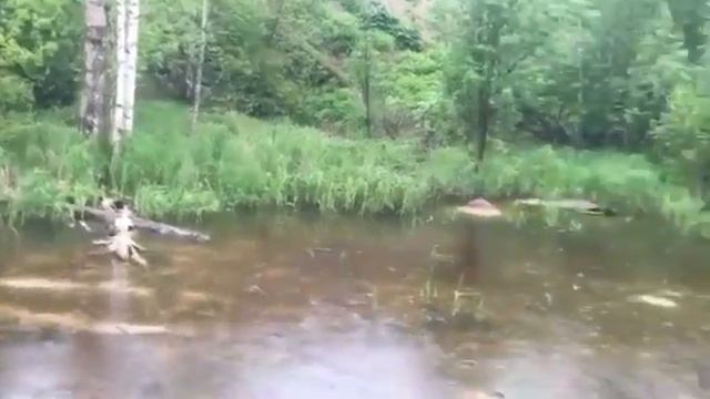Озеро на месте проектируемого полигона Поварово