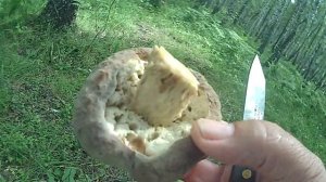 за грибами.