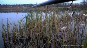 Боковой кивок. Портновская. Рыбак Андрей Николаев. Ловля бычка. Верхний пруд на Портновской.Рыбы не