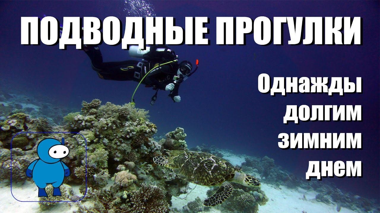 Дайвинг в Шарм эль Шейхе в зимнее время
