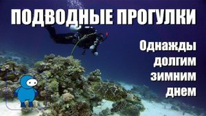 Дайвинг в Шарм эль Шейхе в зимнее время