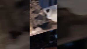 Картерные газы, одна из причин. Ситроен джампер 2.2 131 л. с