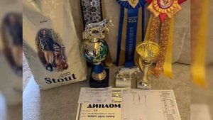 ?Верный Друг Зорге ?Абсолютный Чемпион НКП ?️Гранд Чемпион России