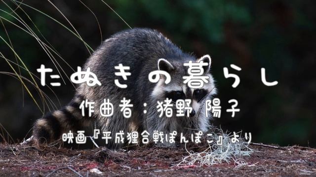 たぬきの暮らし/猪野陽子(平成狸合戦ぽんぽこ) 癒しのオルゴール１時間 смотреть онлайн